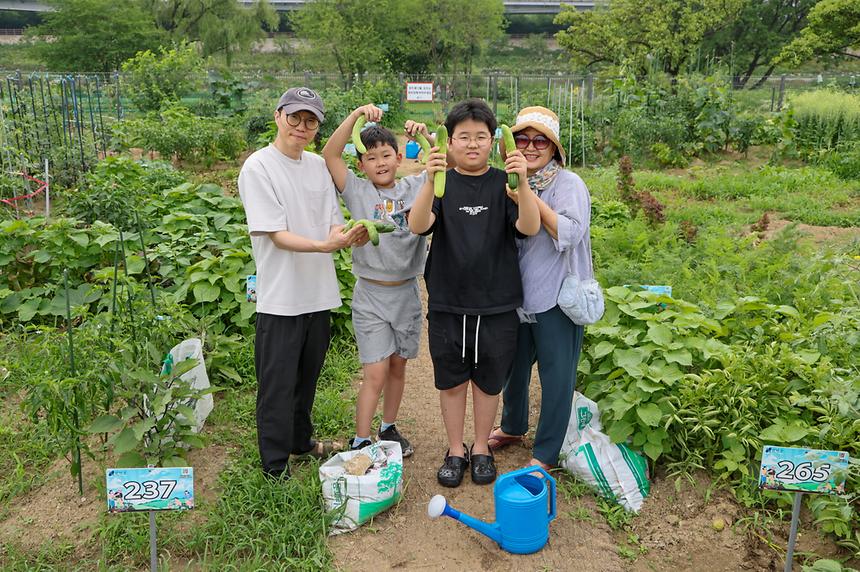 세곡천 힐링텃밭 - 8