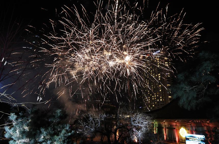 새해맞이 봉은사 타종 - 13