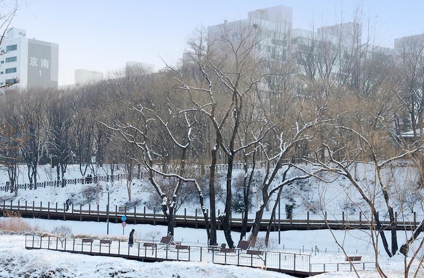 양재천 설경 - 9