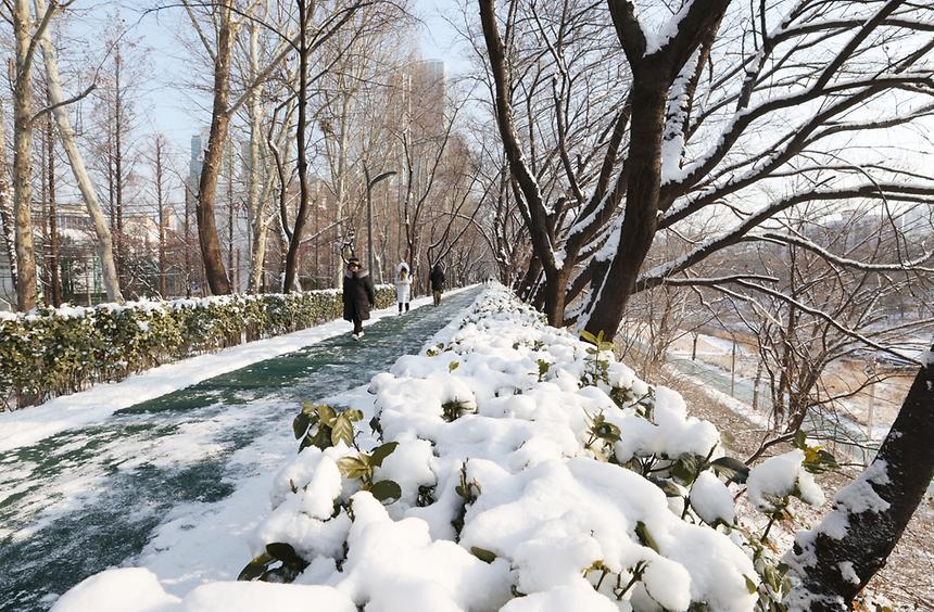 양재천 설경 - 2