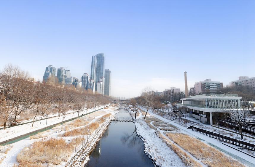 양재천 설경 - 1