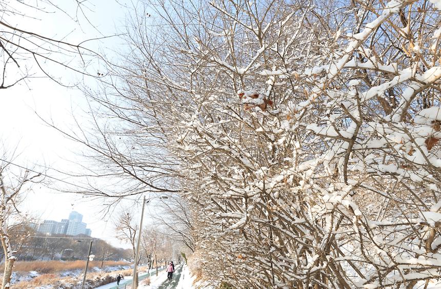 양재천 설경 - 3