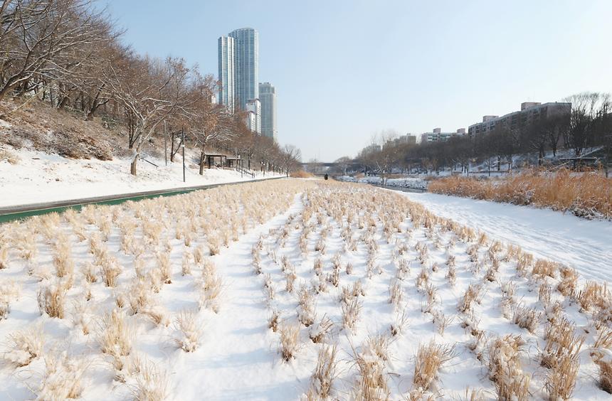 양재천 설경 - 4