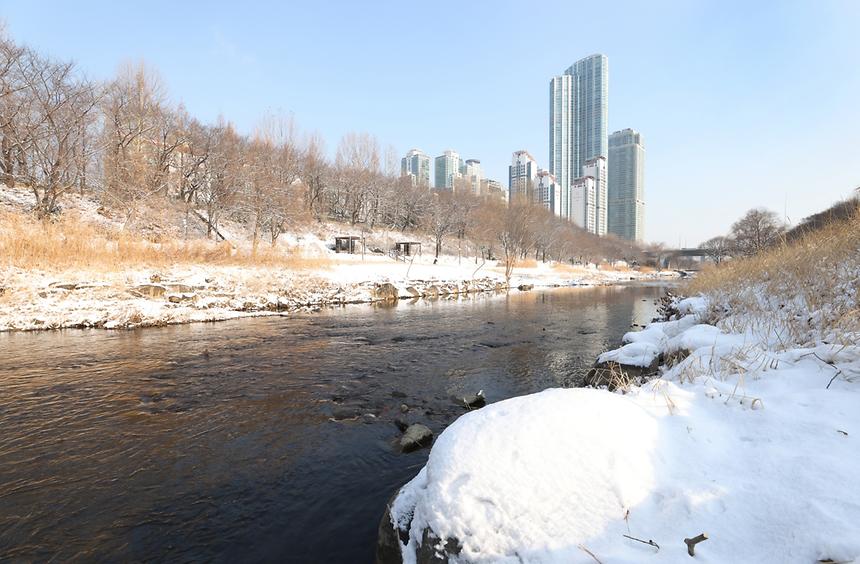 양재천 설경 - 5