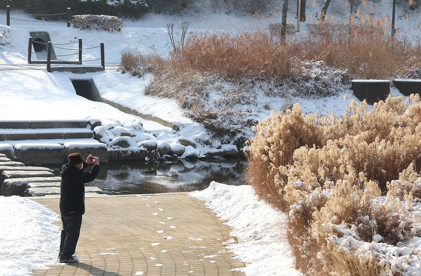 양재천 설경 - 10