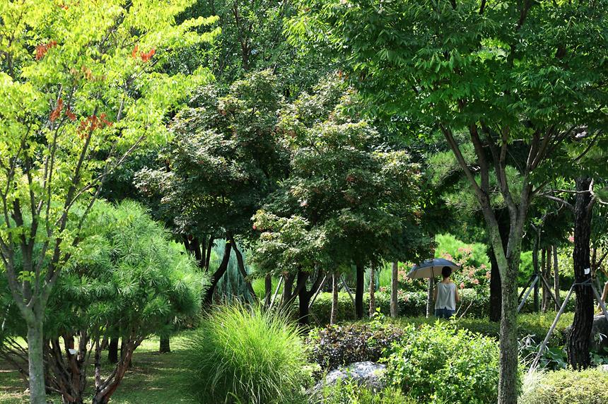 삼성해맞이공원 - 8