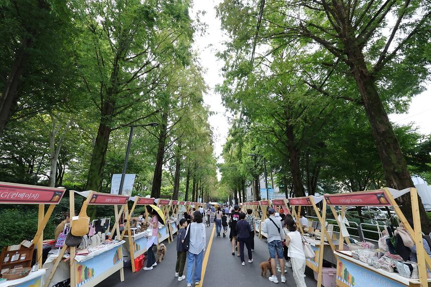 ‘도곡 메타세쿼이아 로드 페스타’ - 10