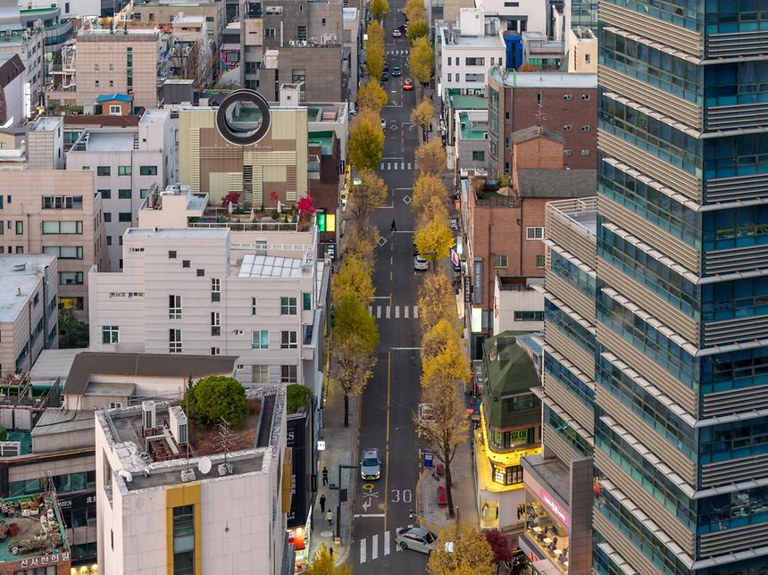 가로수길 - 3