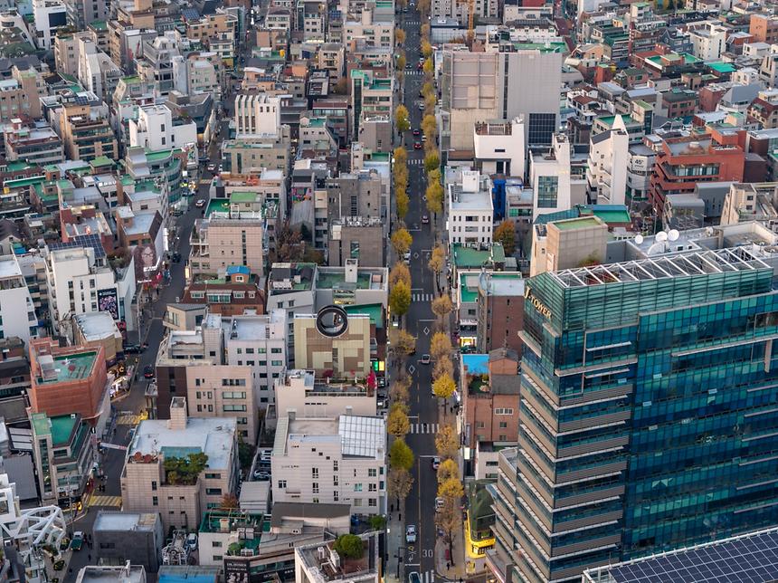 가로수길 - 8