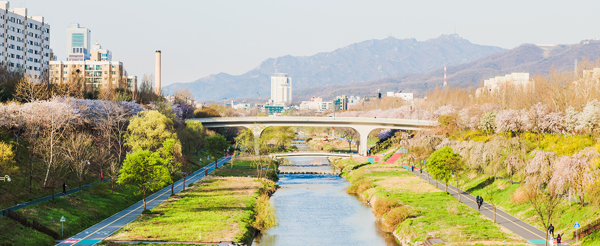 양재천 전경