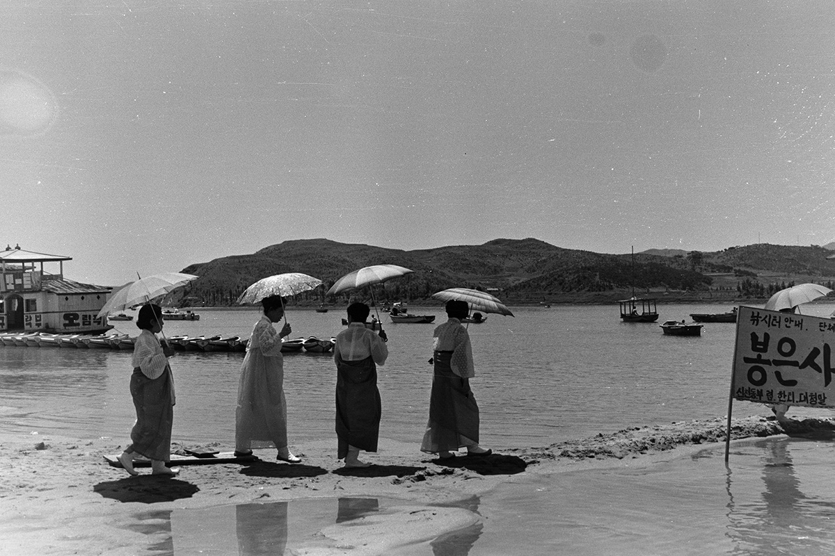 봉은사 가는 길