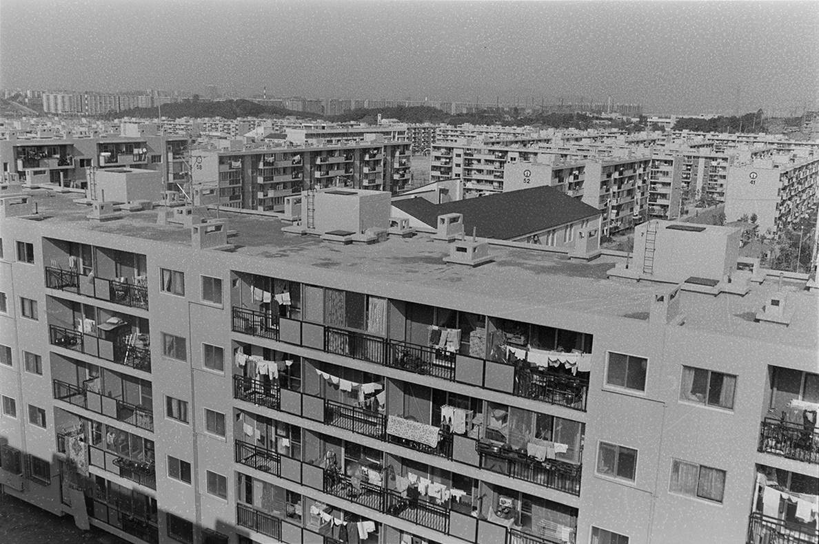 개포동 아파트의 시작