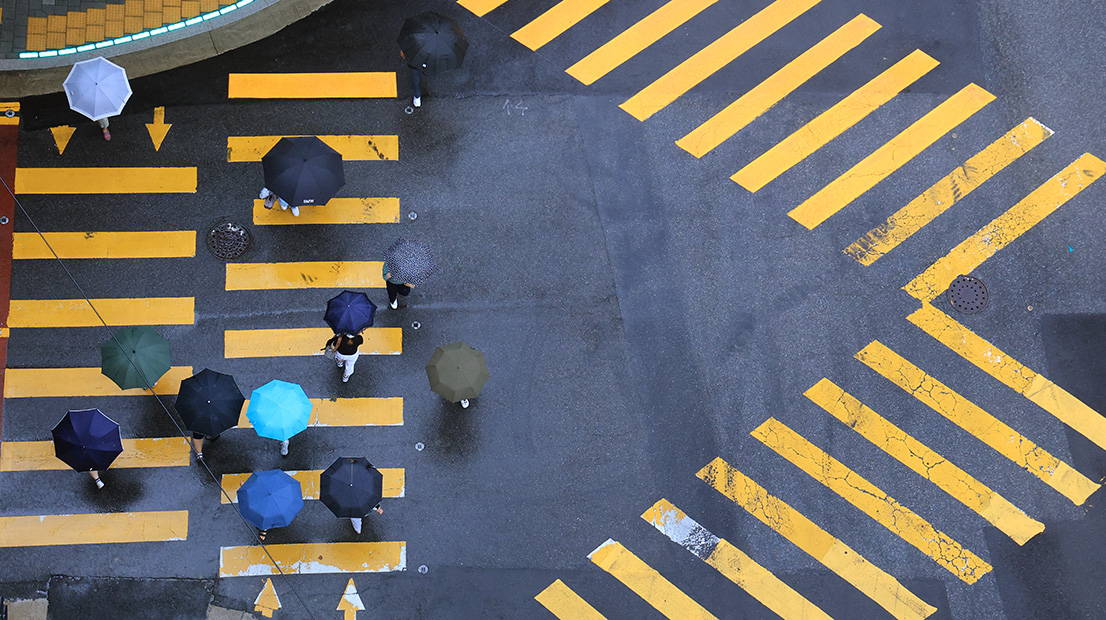 비 내리는 강남