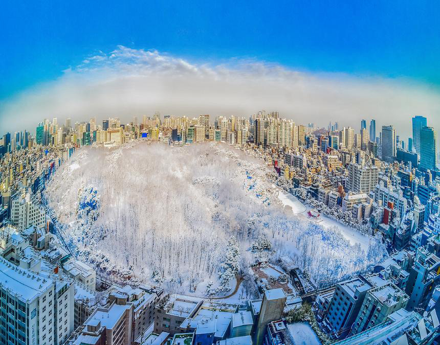 선정릉의 하얀 겨울