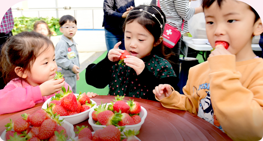 스마트팜에서 딸기 수확 체험을 하는 아이들