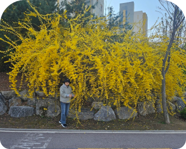 채정희 님(삼성동)