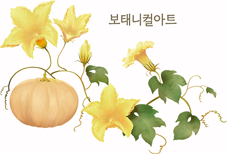 보태니컬아트