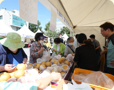 강남구 직거래 장터에서 배를 사는 사람들