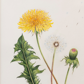 내 솜씨 어때요