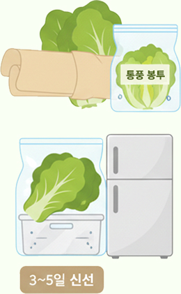 요리 후 남은 봄동 보관법