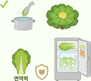 요리 후 남은 봄동 보관법