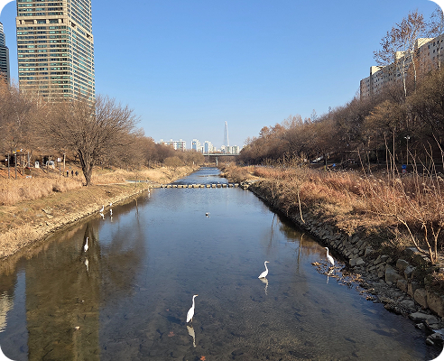 강미영 님(대치동)