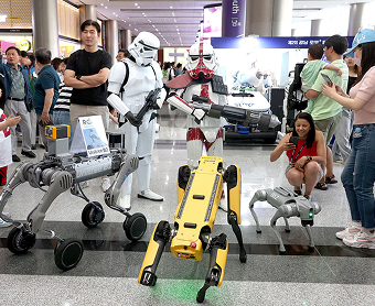 명예기자가 간다