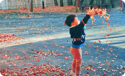 백순자 님(일원동)