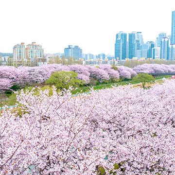 강남여기어때