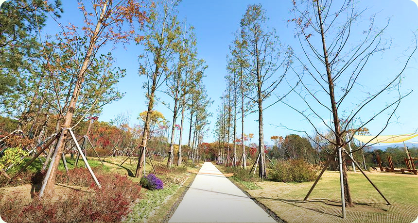 강남세곡체육공원