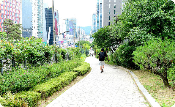 영동대로를 끼고 이어져 있는 경기고 옆 언덕길(삼성동 111-8)
