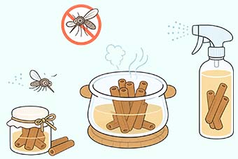 계피로 만드는 천연 방충망