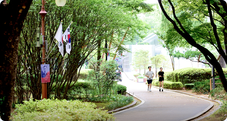 조깅도 길 수 있는 도산공원