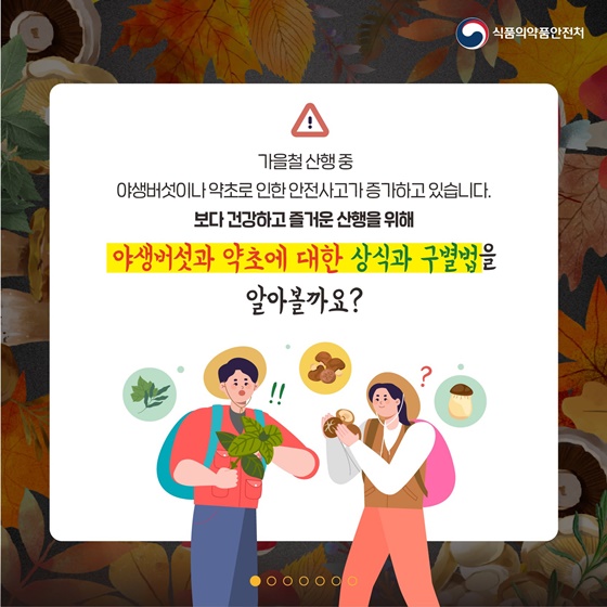  가을철 산행중 야생버섯이나 약초로 인한 안전사고가 증가하고 있습니다. 보다 건강하고 즐거운 산행을 위해 야생버섯과 약초에 대한 상식과 구별법을 알아볼까요?