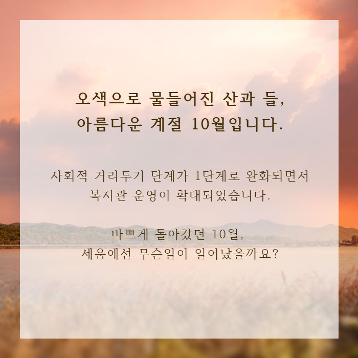 월간세움 카드뉴스