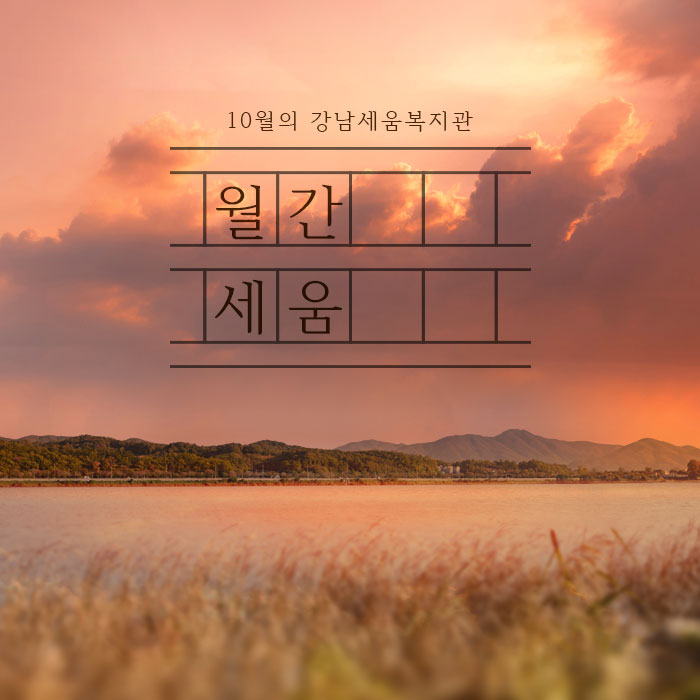 월간세움 카드뉴스