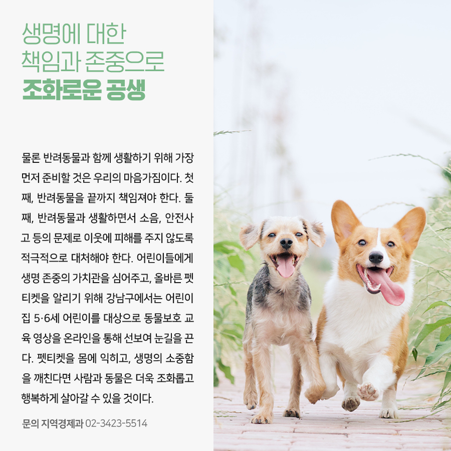 생명에 대한 책임과 존중으로 조화로운 공생  물론 반려동물과 함께 생활하기 위해 가장 먼저 준비할 것은 우리의 마음가짐이다. 첫째, 반려동물을 끝까지 책임져야 한다. 둘째, 반려동물과 생활하면서 소음, 안전사고 등의 문제로 이웃에 피해를 주지 않도록 적극적으로 대처해야 한다. 어린이들에게 생명 존중의 가치관을 심어주고, 올바른 펫티켓을 알리기 위해 강남구에서는 어린이집 5·6세 어린이를 대상으로 동물보호 교육 영상을 온라인을 통해 선보여 눈길을 끈다. 펫티켓을 몸에 익히고, 생명의 소중함을 깨친다면 사람과 동물은 더욱 조화롭고 행복하게 살아갈 수 있을 것이다.  문의 지역경제과 02-3423-5514