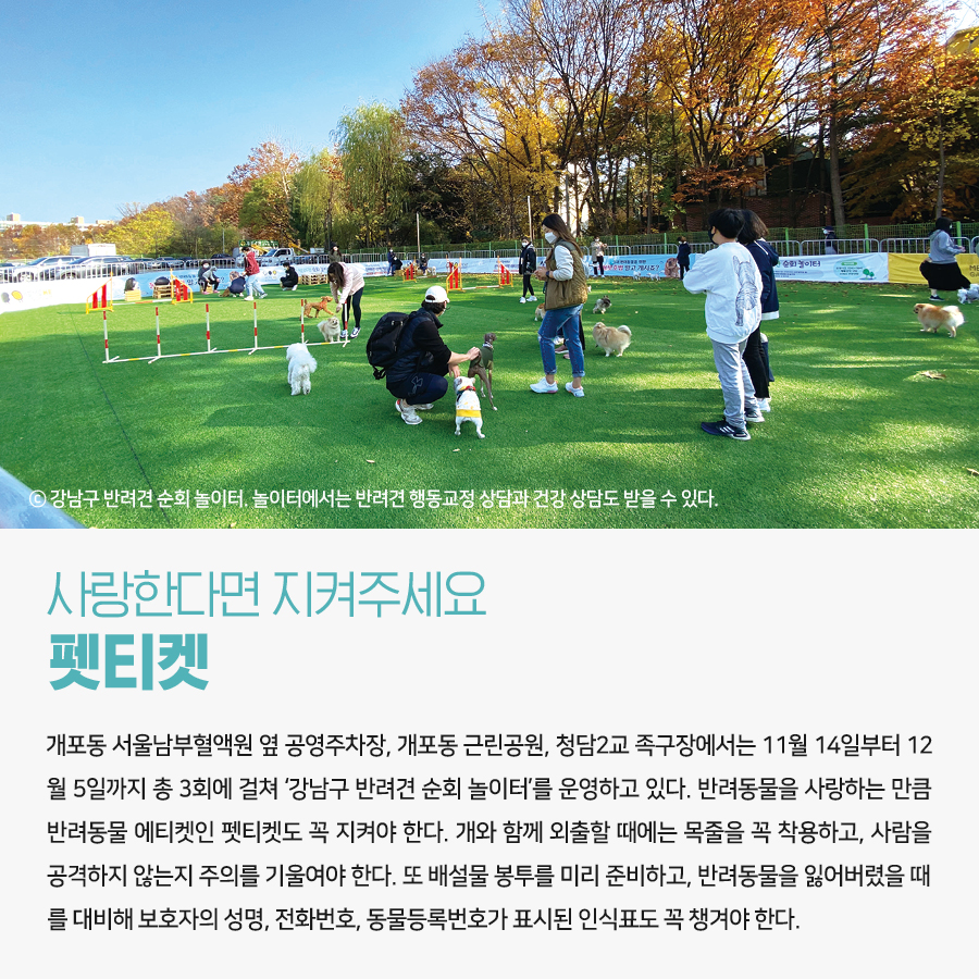 사랑한다면 지켜주세요 펫티켓 ⓒ 강남구 반려견 순회 놀이터. 놀이터에서는 반려견 행동교정 상담과 건강 상담도 받을 수 있다. 개포동 서울남부혈액원 옆 공영주차장, 개포동 근린공원, 청담2교 족구장에서는 11월 14일부터 12월 5일까지 총 3회에 걸쳐 ‘강남구 반려견 순회 놀이터’를 운영하고 있다. 반려동물을 사랑하는 만큼 반려동물 에티켓인 펫티켓도 꼭 지켜야 한다. 개와 함께 외출할 때에는 목줄을 꼭 착용하고, 사람을 공격하지 않는지 주의를 기울여야 한다. 또 배설물 봉투를 미리 준비하고, 반려동물을 잃어버렸을 때를 대비해 보호자의 성명, 전화번호, 동물등록번호가 표시된 인식표도 꼭 챙겨야 한다.