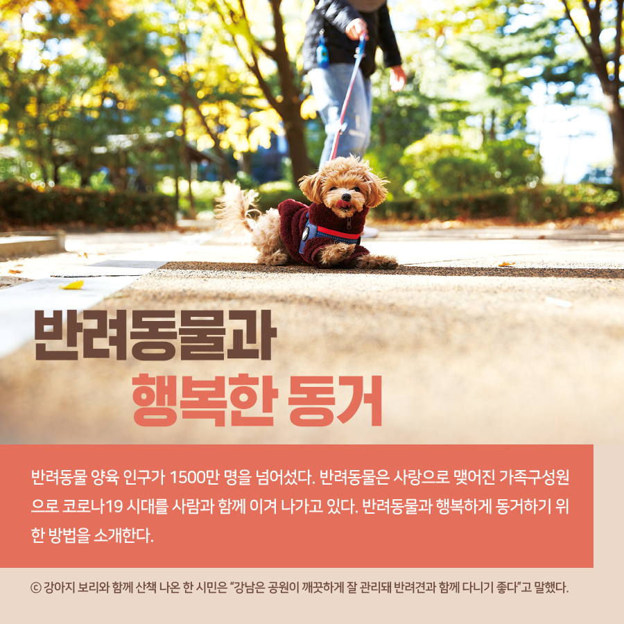 반려동물과 행복한 동거 ⓒ 강아지 보리와 함께 산책 나온 한 시민은 “강남은 공원이 깨끗하게 잘 관리돼 반려견과 함께 다니기 좋다”고 말했다. 반려동물 양육 인구가 1500만 명을 넘어섰다. 반려동물은 사랑으로 맺어진 가족구성원으로 코로나19 시대를 사람과 함께 이겨 나가고 있다. 반려동물과 행복하게 동거하기 위한 방법을 소개한다.