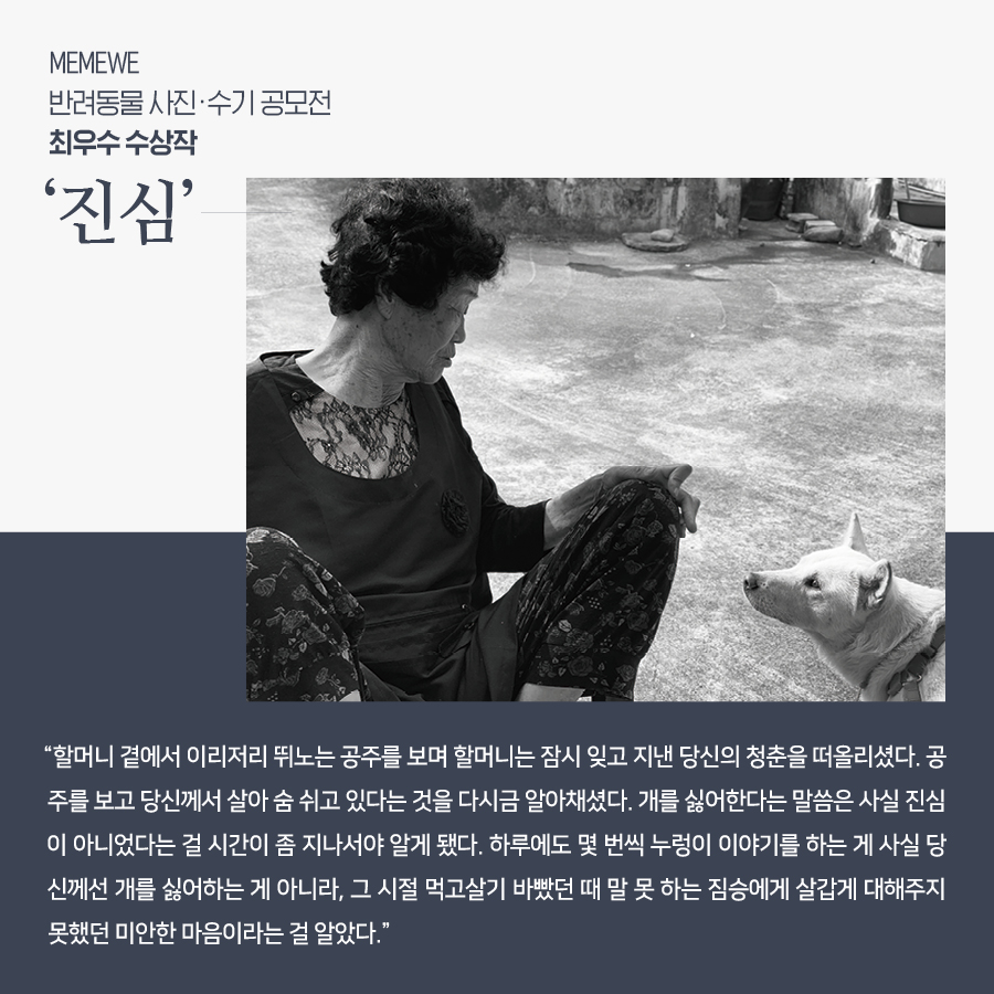 MEMEWE 반려동물 사진·수기 공모전 최우수 수상작 ‘진심’  “할머니 곁에서 이리저리 뛰노는 공주를 보며 할머니는 잠시 잊고 지낸 당신의 청춘을 떠올리셨다. 공주를 보고 당신께서 살아 숨 쉬고 있다는 것을 다시금 알아채셨다. 개를 싫어한다는 말씀은 사실 진심이 아니었다는 걸 시간이 좀 지나서야 알게 됐다. 하루에도 몇 번씩 누렁이 이야기를 하는 게 사실 당신께선 개를 싫어하는 게 아니라, 그 시절 먹고살기 바빴던 때 말 못 하는 짐승에게 살갑게 대해주지 못했던 미안한 마음이라는 걸 알았다.”