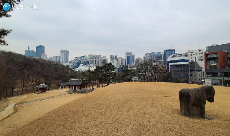 서울 강남 빌딩 숲사이의 선릉은 오아시스와 같은 존재다. ⓒ최병용