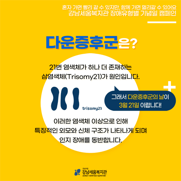 다운증후군은? 21번 염색체가 하나 더 존재하는 삼염섹체가 원인입니다. 그래서 다운증후군의 날이 3월 21일 이랍니다! 이러한 염색체 이상으로 인해 특징적인 외모와 신체 구조가 나타나게 되며 인지 장애를 동반합니다.