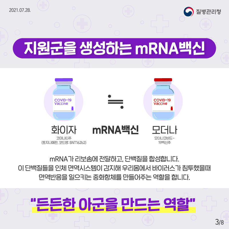 지원군을 생성하는 mRNA 백신 화이자(코미니티주,토지나메란, 코드명: BNT162b2)와 모더나(모더나코비드-19 백신주)는 mRNA 백신으로 유사합니다. mRNA가 리보솜에 전달하고, 단백질을 합성합니다. 이 단백질들을 인체 면역시스템이 감지해 우리몸에서 바이러스가 침투했을 때 면역반응을 일으키는 중화항체를 만들어주는 역할을 합니다.