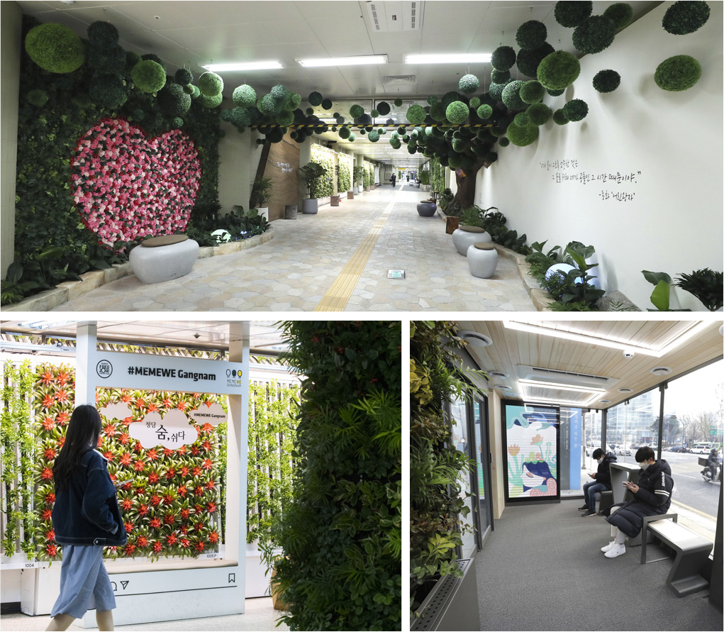 안심할 수 있는 안전한 환경을 만들다 必환경도시 | 강남구청 > 뉴스룸 > 웹진