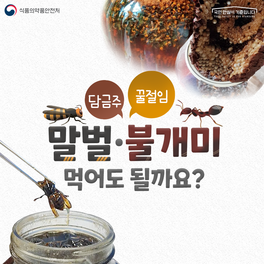 말벌이나 불개미로 만든 담금주·꿀절임, 먹어도 될까요?