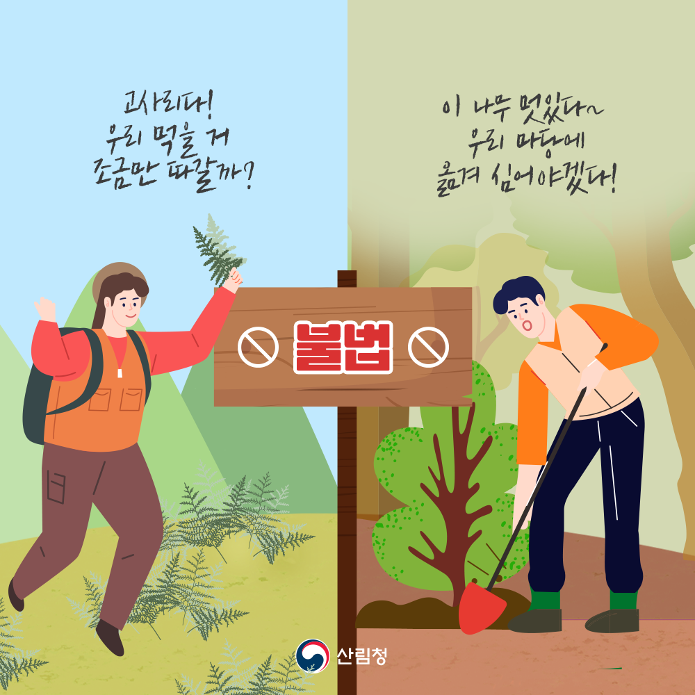 '고사리다! 우리 먹을 거 조금만 따갈까?' '이 나무 멋있다~! 우리 마당에 옮겨 심어야겠는데?' 이런 생각과 행동, 모두 불법행위입니다!