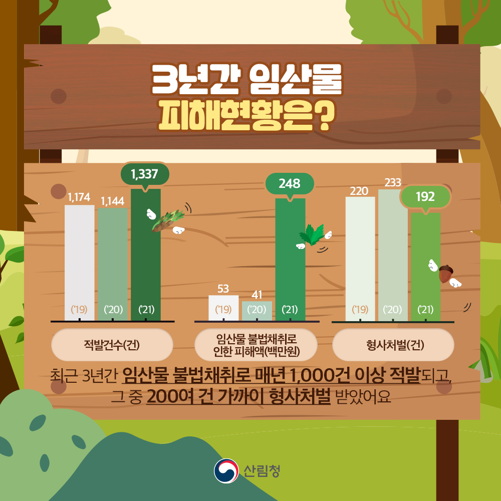 최근 3년간 임산물 불법채취로 매년 1000건 이상 적발되고, 그중 200여건 가까이 형사처벌 받았어요!