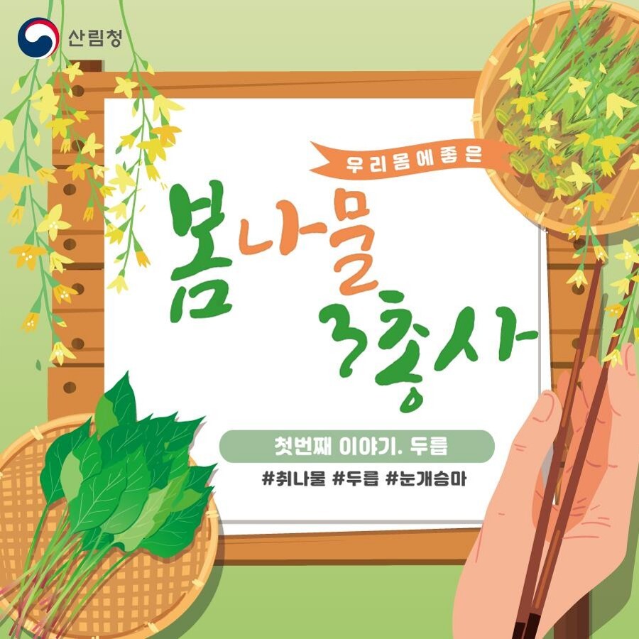 우리 몸에 좋은 봄나물 3총사를 소개해 드립니다. 첫번째 순서는 '두릅'입니다.