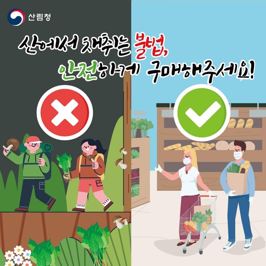 산나물, 산에서 무단 채취는 불법입니다. 안전하게 구매해 주세요!