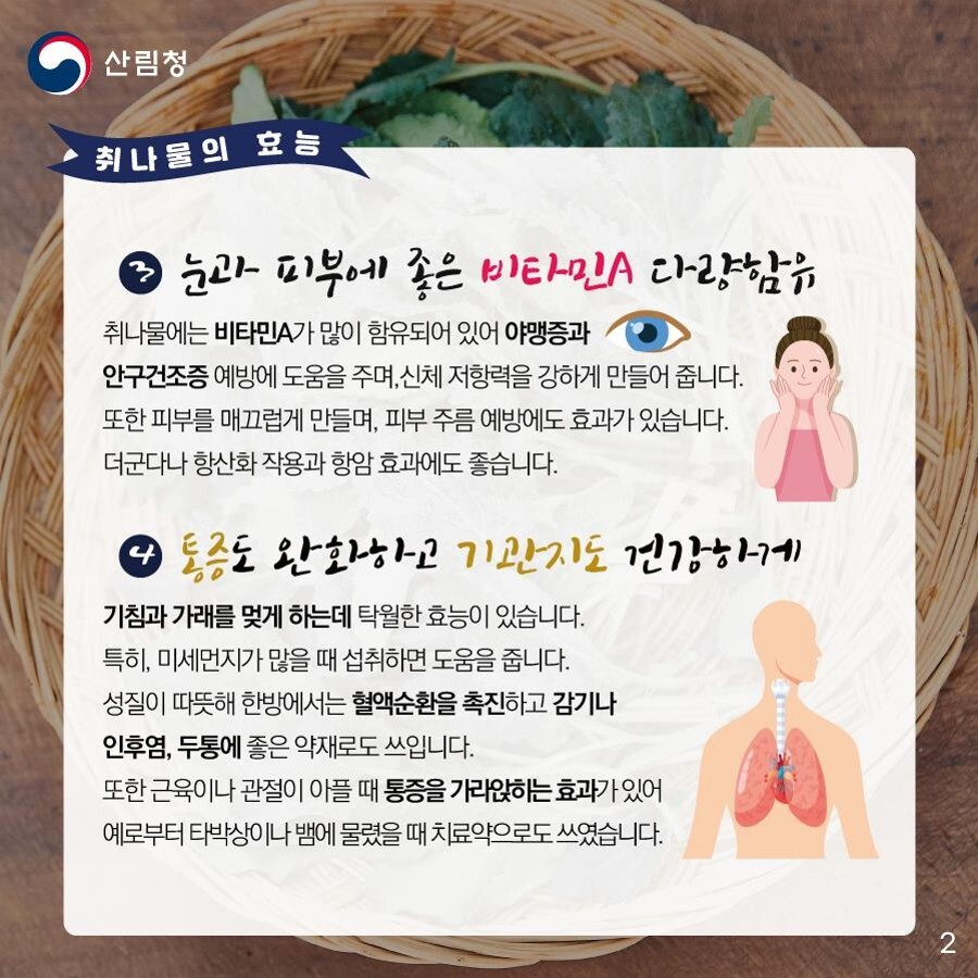 세번째는 '눈·피부건강'에 도움이 됩니다. 취나물에는 비타민A가 많이 함유돼 있어 야맹증과 안구건조증 예방에 도움을 주며 신체저항력을 강하게 만들어줍니다. 또한 피부를 매끄럽게 만들며 피부주름 예방에도 효과가 있습니다. 더군다나 항산화작용과 항암효과에도 좋습니다. 마지막 네번째는 '통증완화 및 기관지 건강'에 도움이 됩니다. 기침과 가래를 멎게 하는데 탁월한 효능이 있습니다. 특히 미세먼지가 많을 때 섭취하면 도움을 줍니다. 성질이 따뜻해 한방에서는 혈액순환을 촉진하고 감기나 인후염, 두통에 좋은 약재로도 쓰입니다. 또한 근육이나 관절이 아플 때 통증을 가라앉히는 효과가 있어 예로부터 타박상이나 뱀에 물렸을 때 치료약으로도 쓰였습니다.